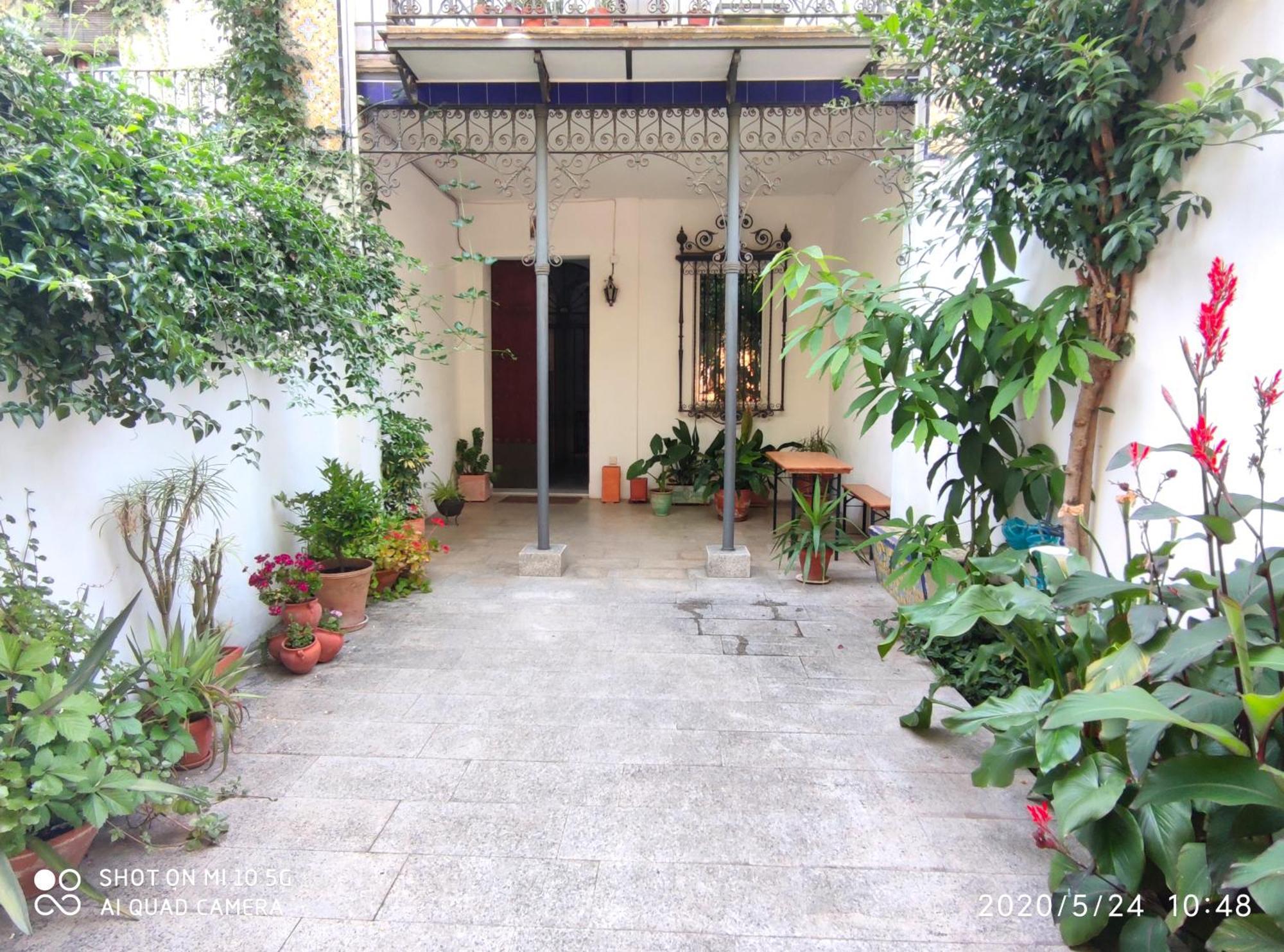 Alacas Appartement *